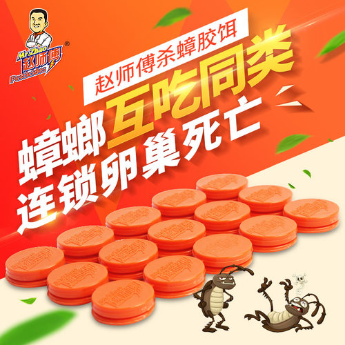 赵师傅蟑螂贴30粒蟑螂药纽扣式方便贴全窝端家用厨房室内胶饵 - 图1