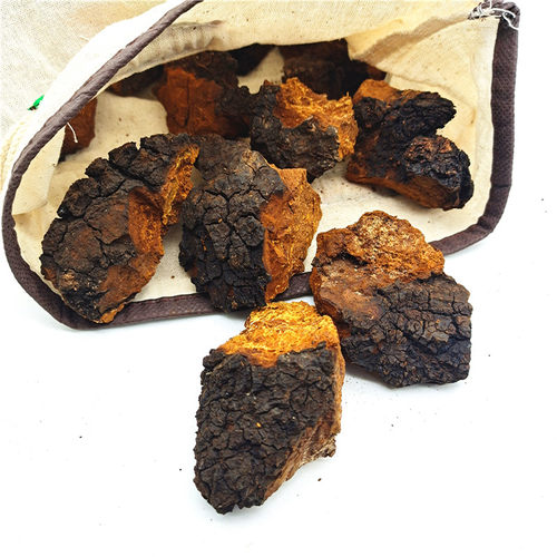 桦树茸俄罗斯原料正品野生切块一斤礼盒装白桦茸高密度桦褐孔菌 - 图0