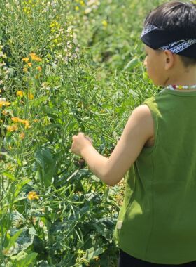囍Me 原创男女儿童项链四季春秋游色彩多巴胺趣味项圈多场合饰品