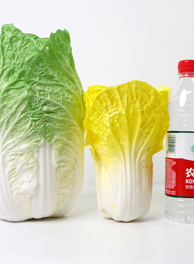仿真白菜假大白菜水果早教学品