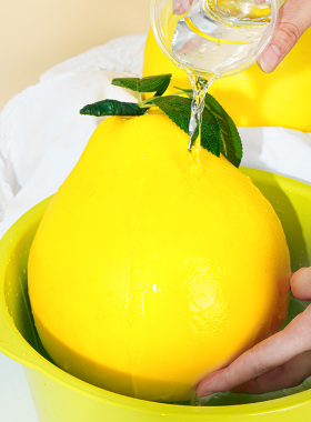 蜜柚橘子蔬菜样品菡菡