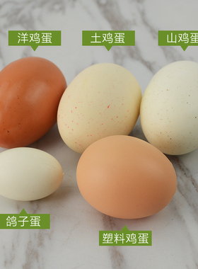 仿真泡沫假鸡蛋橱柜装饰摄影模型