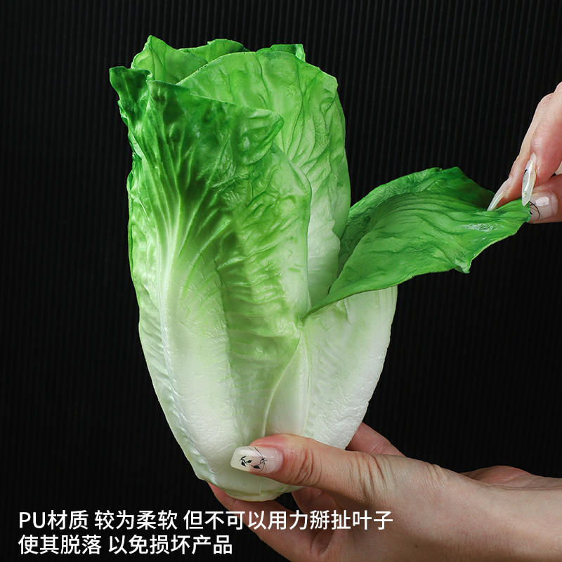 仿真生菜叶菜叶假蔬菜果蔬模型装饰摆设道具生菜摆件果蔬叶子大片 - 图0