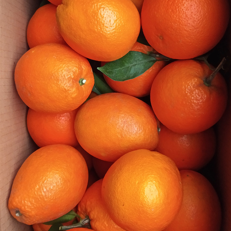 正宗赣南脐橙当季果园现摘现发江西赣州新鲜水果橙子20斤榨汁甜橙,淘宝优惠券,粉丝福利购,淘宝优惠卷