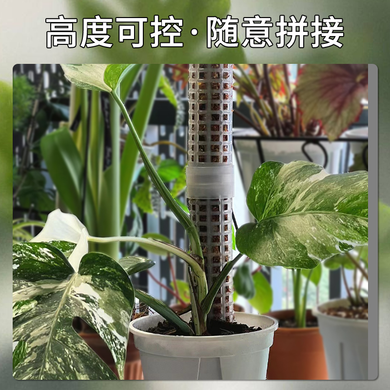 水苔柱可拼接爬藤植物攀附柱热植蔓绿绒绿萝龟背竹攀爬柱固定支架 - 图0