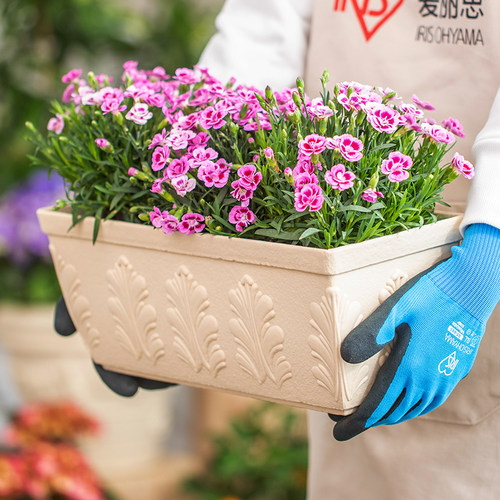 爱丽思FIRENE凸纹长形树脂花盆花卉绿植简约地面塑料盆爱丽丝包邮 - 图2