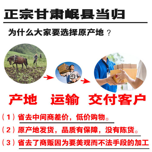 甘肃岷县当归大当归岷归无硫当归头当归片黄芪党参泡茶特价当归 - 图1