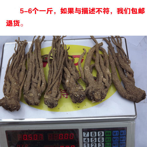 甘肃岷县当归大当归岷归无硫当归头当归片黄芪党参泡茶特价当归 - 图2