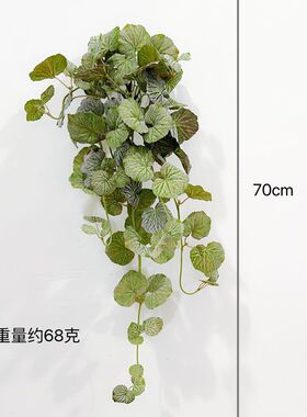 ins北欧风仿真藤蔓植物海棠叶悬挂植物 壁挂曼陀罗尤加利桉树叶