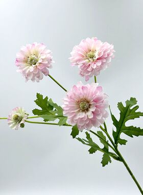 仙女粉仿真花长支百日草假花家居样板装饰婚庆路引仿真多头鱼尾菊