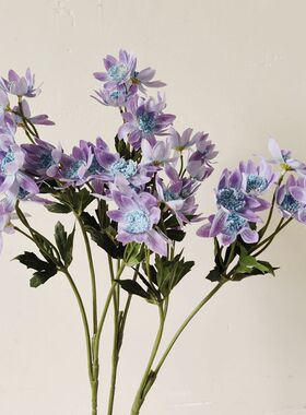 高品质仿真花手感蒲公英星芹花美式自然系假花插花花材摄影道具