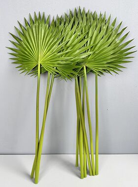 仿真叶棕榈叶室内装饰植物树叶子绿植叶蒲葵叶子PU仿真蒲扇芭蕉扇