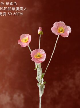 gentle monster墨镜礼花仿真虞美人罂粟花大丽花拍摄道具春夏花束