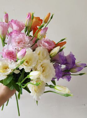 桔梗花仿真花假花摆设客厅花艺摆件插花花束餐桌装饰花高级感高档