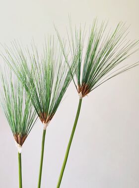 仿真伞莎草纸莎草针草喷泉草插花绿植装饰摆件家居手感软装样板间