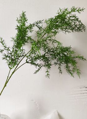 仿真绿植文竹天冬门烟树雾凇草珊瑚草绿色婚庆自然系假花造景配花