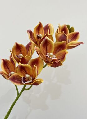 靓兰室内中国插花枝白手感1