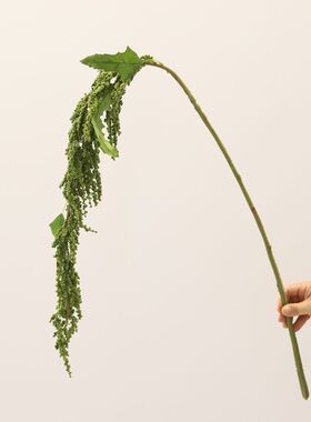 新款仿真柔丽丝情人泪吊米花材软装装饰花艺婚庆永生花设计师假花