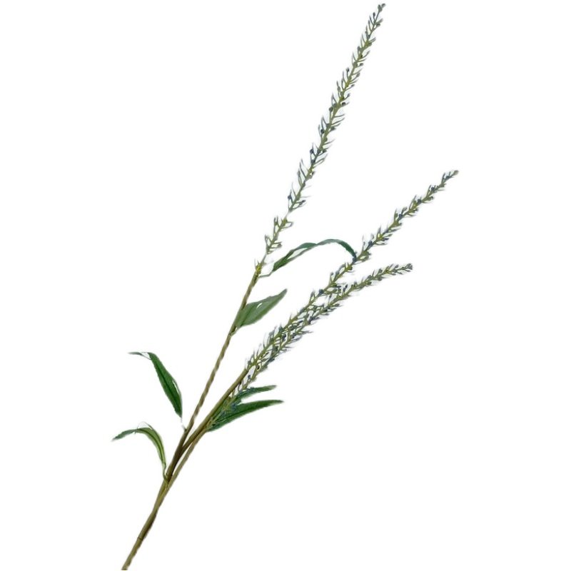 仿真花金丝草 小米果 叶材 花艺师插花 家居装饰软装陈设插花配材,淘宝优惠券,粉丝福利购,淘宝优惠卷