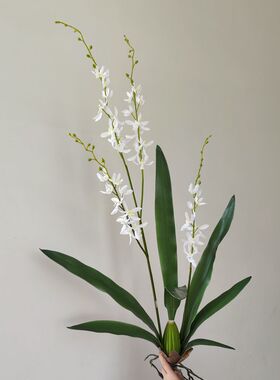 靓插花样板房中国兰枝白手感1