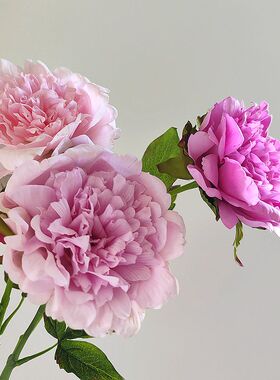 高品质欧式仿真花手感保湿牡丹花芍药花家居餐桌装饰摆花摄影道具