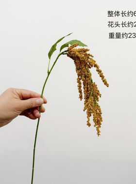 仿真绿植吊米柔丽丝情人泪 森系绿色小米穗垂吊线条花材装饰假花
