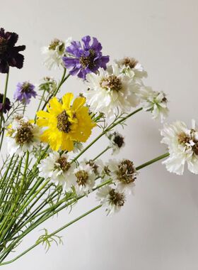 田园风松虫草仿真花蓝盆花 矢车菊单枝假花 绢花家居装饰摄影道具