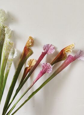 仿真花 瓶子草绿色手感猪笼草 高颜值异形花材叶材设计师软装常用