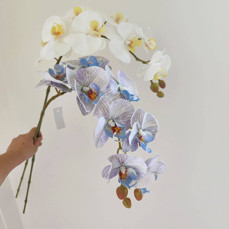 高档花卉仿真花蝴蝶兰高品质9头手感兰花婚庆花艺家居摆件装饰花,淘宝优惠券,粉丝福利购,淘宝优惠卷