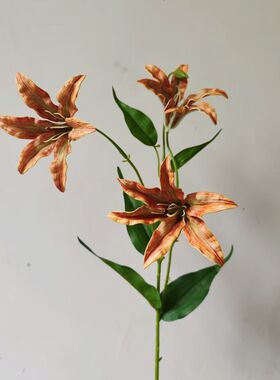 软装配材3头火焰兰火焰百合仿真花千鸟兰 家居美陈花艺设计插花