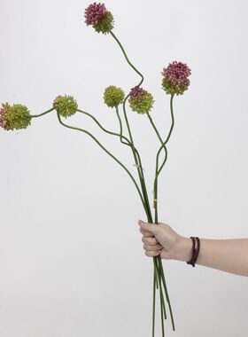 仿真花2头葱球葱花假花 软胶手感蒲公英果植插花配材花艺婚庆摄影