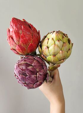 靓插花室内中国洋蓟枝红手感1