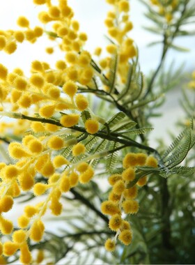 美式黄色仿真花合欢花样板间拍摄