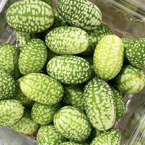 特色拇指西瓜鲜果新鲜迷你网红绿瓢小西瓜佩普基诺水果现摘1斤,淘宝优惠券,粉丝福利购,淘宝优惠卷