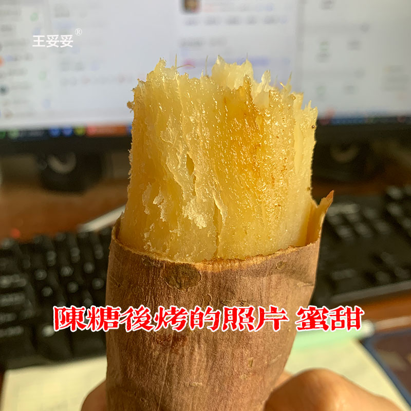 推荐烤~山东哈密冰糖薯新鲜沙地白心蜜薯奶油红薯甜山芋白瓤地瓜 - 图0