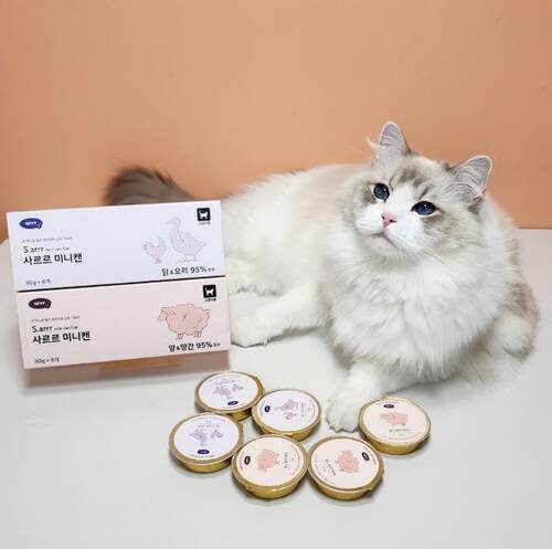 部分现货~韩国arrr宠物猫狗三文鱼金枪鱼鸡羊鸭肉湿粮罐头 - 图3
