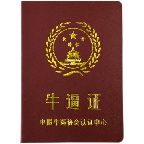 牛逼证 搞笑搞怪创意证书个性送朋友闺蜜爸妈男友老公生日礼物 - 图2