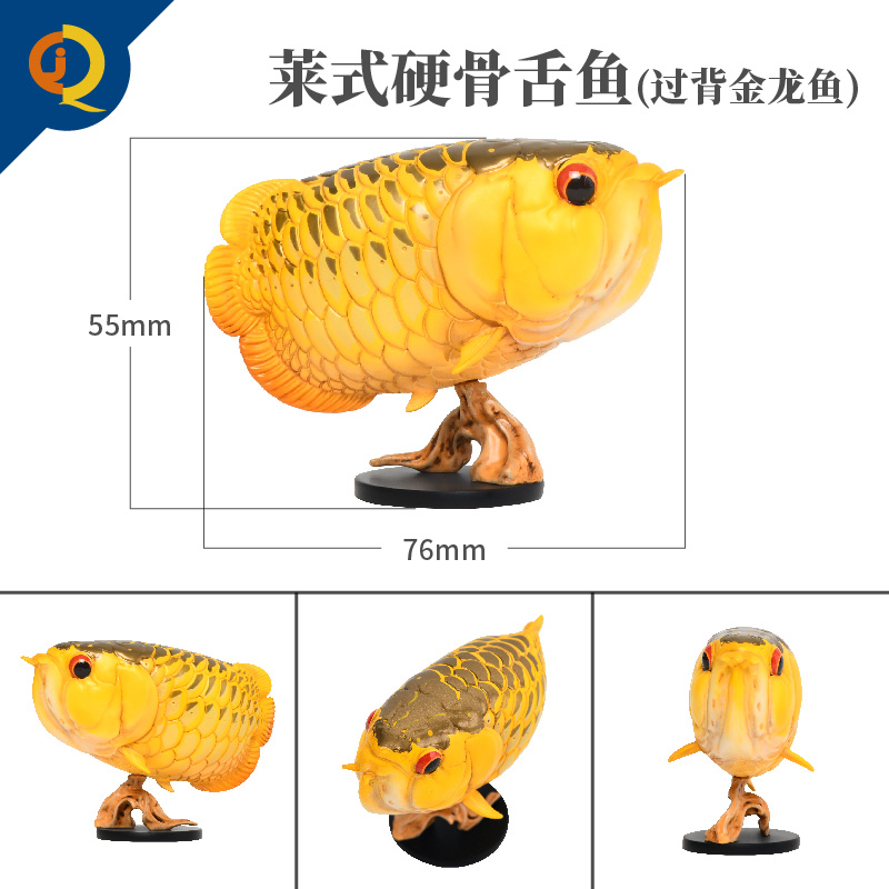 动物星球心宽体胖系列第12弹远古鱼系列01金龙鱼巨骨舌鱼手办模型 - 图1