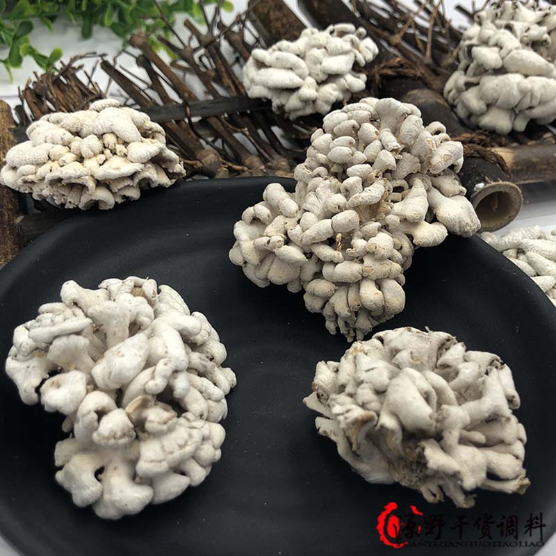 云南特产白参菌干货500g干净无沙裂褶菌雪莲菌食用菌蘑菇 - 图2