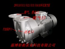 Boshan Water ring vacuum pump liquid ring vacuum pump 2BV5110 5111 5121 5121 5131 5161 vacuum pump