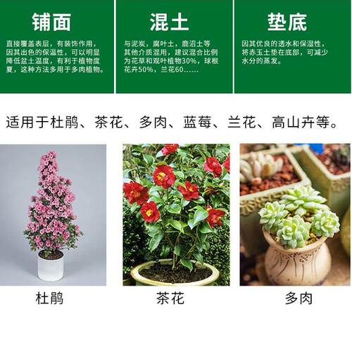 鹿沼土日本进口多肉石斛杜鹃蝴蝶兰酸性营养土颗粒铺面专用整包邮 - 图3