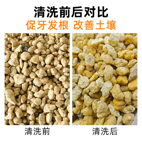 日本进口植金石原装兰花专用颗粒营养土多肉铺面萨摩石硬质兰花石 - 图2