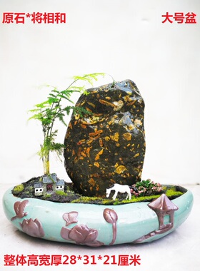 荷花石梅花玉玛瑙玉石奇石原石