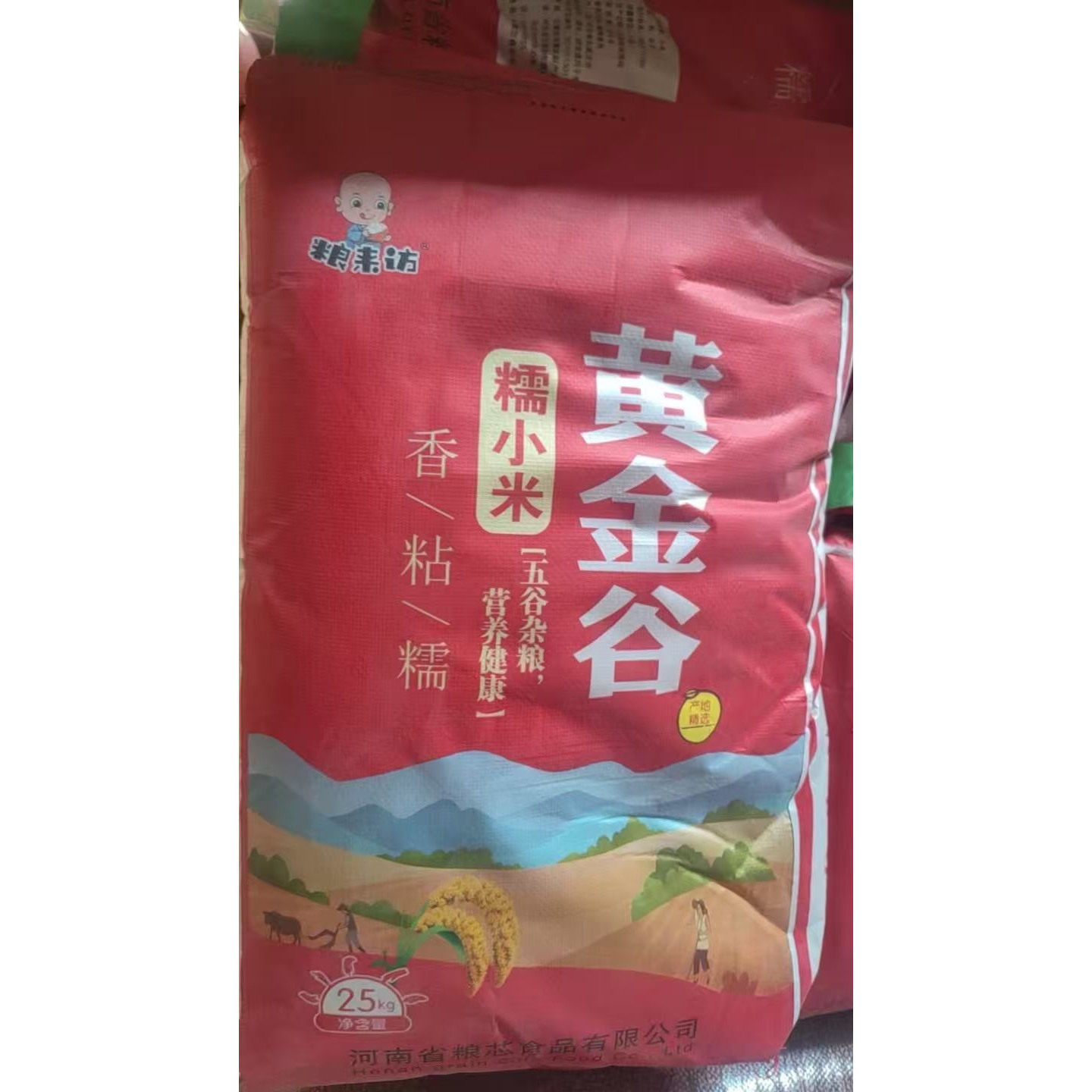 内蒙金苗小米50斤新鲜优质赤峰黄小米粥米杂粮饭店食堂商用小米