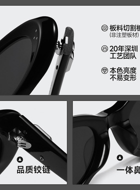 2026新款椭圆墨镜女高级感时尚复古板材防紫外线太阳镜COCOA同款