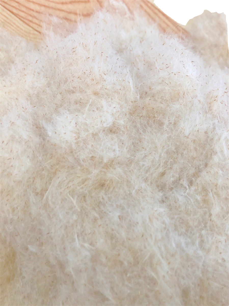 植物香蒲绒枕头填充物蒲絮水蜡烛芦花蒲草天然香蒲枕护颈送枕芯套,淘宝优惠券,粉丝福利购,淘宝优惠卷