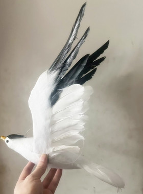 动物模型仿真海鸥中华凤头燕鸥