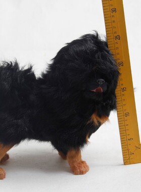 仿真藏獒动物模型摄影道具