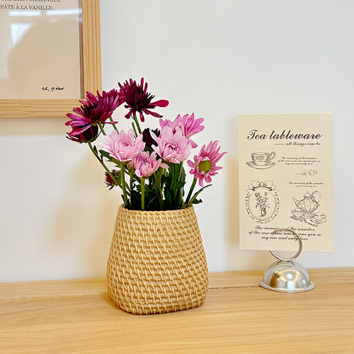 ins藤编花瓶摆件客厅插花创意情绪稳定花瓶高级感小众仿真干花器 - 图2