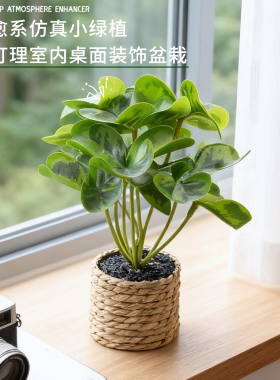 北欧风编织盆仿真绿植桌面盆景